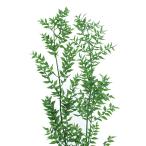  большой земля сельское хозяйство . консервированный цветок la ska s консервированный свежий зеленый примерно L50.0~70.0cm 25g входить DO003560-731