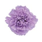  поток ru ever консервированный цветок стандартный гвоздика soft lilac примерно цветок диаметр 5.0×H6.0cm 6 колесо входить FL001100-043