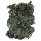  Tohoku материалы для цветочной композиции TOKA консервированный цветок Финляндия Moss moss green консервированный обработка 40g входить DT071107-zzz