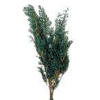  большой земля сельское хозяйство . консервированный цветок soft him Roth gi зеленый примерно L60.0cm 120g входить DO001320-700