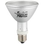 zen acid солнечный lapta-HID лампа замена лампочка 50W