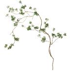  Tokyo .(Tokyodo) искусственный цветок MAGIQ Heart leaf tsuig Galland зеленый L154cm FG002609-zzz