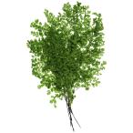  большой земля сельское хозяйство . консервированный цветок Asian tam* Lucy свежий зеленый примерно L18~30cm 8 листов входит DO003750-731