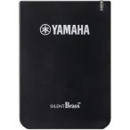  Yamaha (YAMAHA) personal Studio STX-2