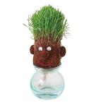  цветок ... культивирование комплект hair LABO волосы labo Smart 