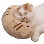 kya чай man (CattyMan)... . кошка подушка ..nyan