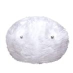 lizmo( snow )