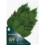 A&amp;K сделано в Японии консервированный цветок . один на (2 шт. комплект ) 15×1×32cm M зеленый 