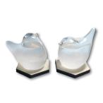 fullion storm стакан птица Storm Glass контрабас приложен погода .. бутылка интерьер подарок bird bird 