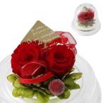  консервированный цветок Cafe консервированный цветок День матери день рождения подарок маленький ( twin красный )