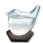 fullion storm стакан птица Storm Glass контрабас приложен погода .. бутылка интерьер подарок bird bird 