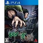 [PS4] бог индустрия ..-KAMIWAZA TOURAI-