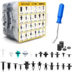 AOLYGEI リベット 自動車 フェンダー バンパークリップ プッシュ 821個 24種類 ユニバーサル固定用 ナイロン製 押し込み式 車 クリップ