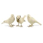  птица сад орнамент произведение искусства украшение интерьер Bird brothers 3 перо комплект 