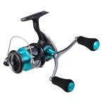  Daiwa (DAIWA) искусственная приманка на кальмара специальный катушка 24emelarudasX LT2500-DH