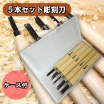 彫刻刀セット 彫刻刀 5本セット ケース付き 小学生 平刃 切り出し刃 三角刃 丸刃
