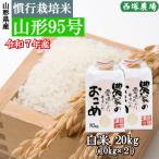 慣行栽培米 山形95号　岩魚米 （令和7年産）白米 20kg