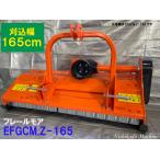 ե졼⥢ϥޡʥե⥢꡼𴢵ǴEFGCMZ-165ޥ