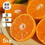  мандарин 5kg (S/M/L размер :. сырой ). тест . кислота тест . style мир сделал мандарин ( отгрузка :11 месяц последняя декада -1 месяц )