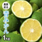 青みかん 1kg (青切りみかん) 酸っぱくて爽やか。すだち、かぼす のようにどうぞ (出荷_8月-9月)