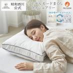 枕 まくらホテルモードマクララグジュアリー パイプ マイクロわた 高さ調整 硬さ選び 抗菌防臭加工 昭和西川公式 EC2301 43x63 肩こり