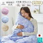 羽毛布団 ダブル ダブルロング 昭和西川公式 羽毛掛けふとん ヨーロッパ羽毛 ドイツ産 グース90% 1.6kg 日本製 EC907 190×210cm ピンク ブルー ベージュ