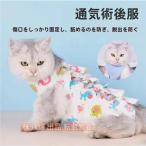  кошка для . после одежда домашнее животное уход одежда домашнее животное . после одежда . после одежда . часть защита . после восстановление царапина облизывание акционерное общество ..... предотвращение .. царапина .. защита кошка развлечение мяч 2 шт имеется 