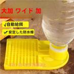 8 шт. комплект . пчела для кормушка меласса пчела механизм подачи водоснабжение вмятина выпуклость проект .. предотвращение пластиковый пчела меласса . пчела дом акционерное общество . снабжение tool меласса пчела кормушка поилка Be механизм подачи . пчела для водоснабжение оборудование 