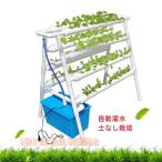  гидропонная культура комплект .... культивирование комплект клубника овощи культивирование комплект салон огород акционерное общество . гидропонная культура комплект посадочная машина 72 дыра (72 дыра )