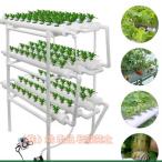  гидропонная культура комплект овощи культивирование комплект .... культивирование комплект салон клубника огород акционерное общество . гидропонная культура комплект посадочная машина 108 дыра 