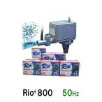 kami - ta rio Rio+800 50Hz 2 пункт глаз ..300 иен скидка *