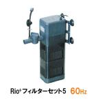 kami - ta rio плюс энергия head Rio+ фильтр комплект 5 60Hz 2 пункт глаз ..300 иен скидка *
