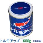  исключая ..torumo выше (1000t для ) 600g наземный .. гидропонная культура цветной карп сопутствующие товары * 2 пункт глаз ..300 иен скидка *
