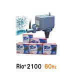 vkami - ta rio Rio+2100 60Hz 2 пункт глаз ..300 иен скидка 