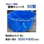 * максимальный .5600L. вода возможность Matsuyama сиденье association love . парусина SO type корпус только бесплатная доставка часть регион исключая включение в покупку не возможно *
