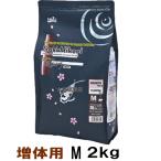  Kyorin .... больше body для M отходит 2kg цветной карп сопутствующие товары бесплатная доставка часть регион исключая 2 пункт глаз ..300 иен скидка *