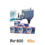 kami - ta rio Rio+600 60Hz 2 пункт глаз ..300 иен скидка 