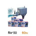 vkami - ta rio Rio+50 60Hz 2 пункт глаз ..300 иен скидка 