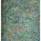 三次元フィルター(日本製 ゼンスイ仕様サランロック) 厚25mm×1m×幅 20cm 1枚 【送料無料 但、一部地域除】