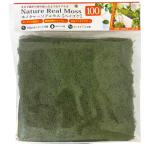 J зеленый nature настоящий Moss высокий goke100 бесплатная доставка ., часть регион исключая 2 пункт глаз ..200 иен скидка *