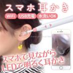 耳かき カメラ スコープ ワイヤレス iphone LED ライト動画 写真撮影 耳掃除/スマホ耳かき