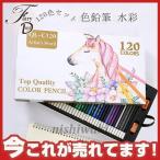 色鉛筆 水彩 120色セット 色えんぴつ 120本セット カラフル鉛筆 塗り絵 画材 水彩画 お絵かき 写生 収納ケース付 大人の塗り絵付