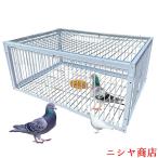 鳩罠 脱出防止設計 一方通行の入り
