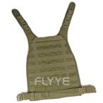 Flyye MOLLE RRV Vest PC Plate RG