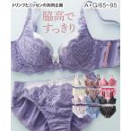 ショッピングブラジャー ブラショーツセット 脇高編レースブラジャー・ショーツセット（ トリンプ ） ニッセン nissen