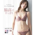 ブラショーツセット 脇高編レースブラジャー・ショーツセット（ トリンプ ） ニッセン nissen