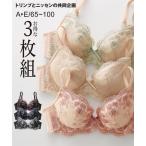ブラジャー ワイヤー入り レディース フラワー レース 3枚組 ( トリンプ ) A70〜E80 ニッセン nissen