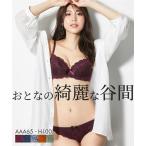 ブラジャー ショーツ セット レディース ダークカラー フロント 総レース AAA65_M〜D80_L ニッセン nissen