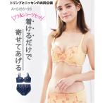 ショッピングブラジャー ショーツ セット ブラジャー ショーツ セット レディース 脇高 リフトアップ ビッグフラワー ( トリンプ ) A65_M〜D80_L ニッセン nissen