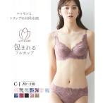 ブラジャー ショーツ セット レディ